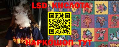 PSILOCYBIN Кунгур