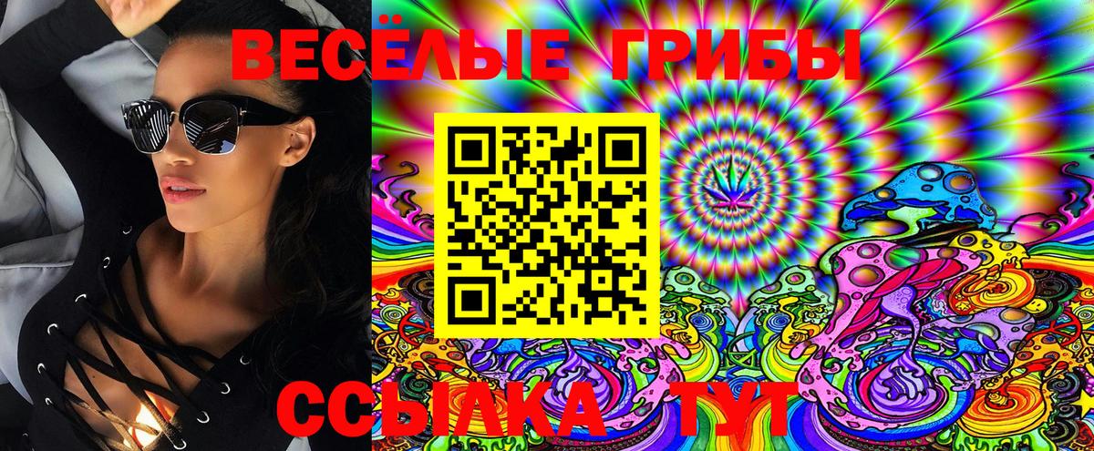 Псилоцибиновые грибы Magic Shrooms  Вход с VPN  Донской  Галлюциногенные грибы Psilocybe 